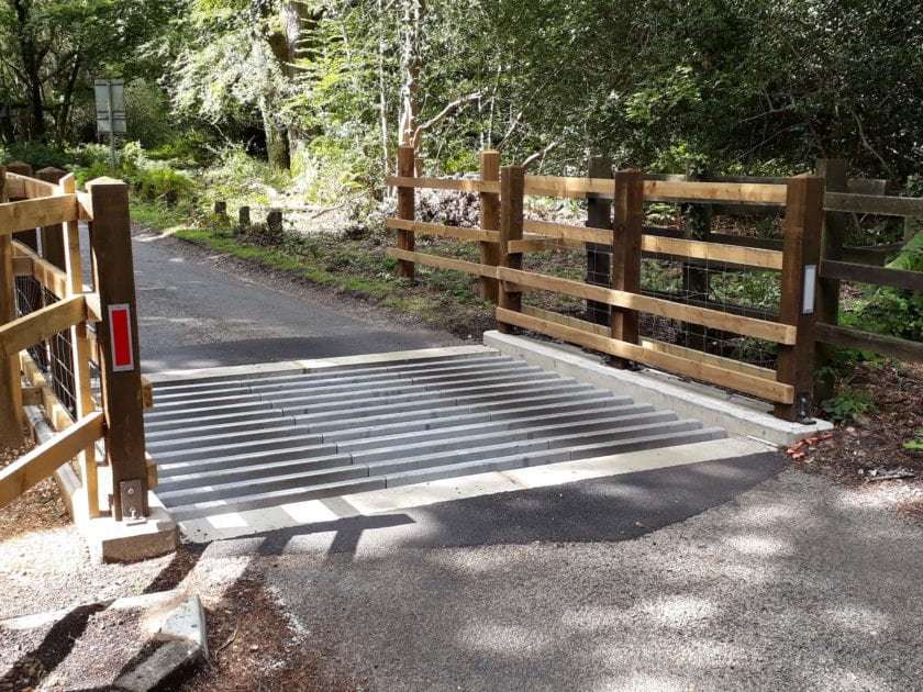 Cattle grids at New Forest National Park