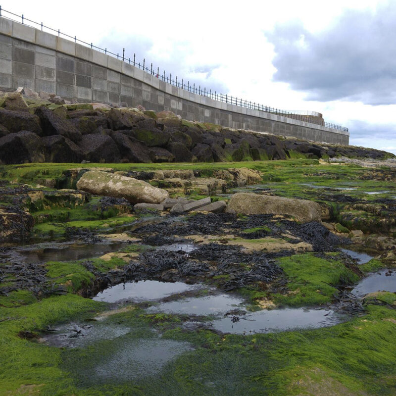 Hartlepool Headland : concrete sea defence walls