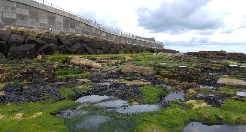 Hartlepool Headland : concrete sea defence walls