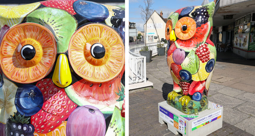 We give a hoot! Supporting Ipswich art trail 2022